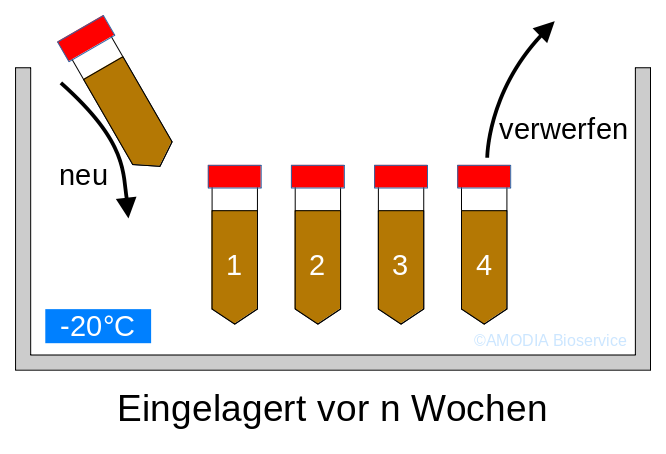 Schema der 4PS-Regel