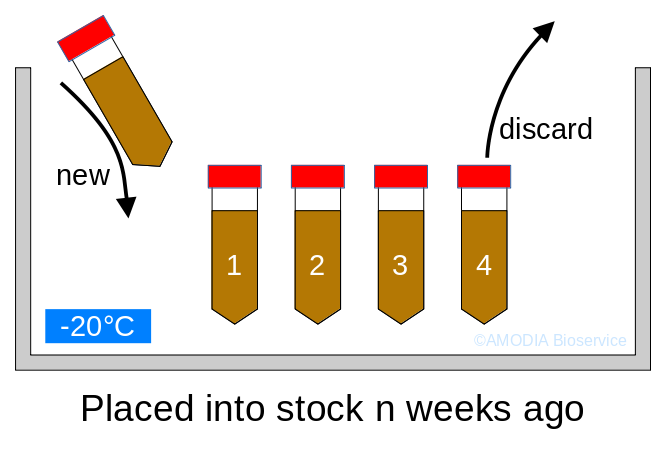 Scheme of the 'C4S Rule